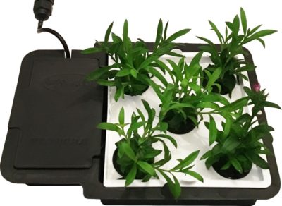 Autopot Aquaplate - Image 3